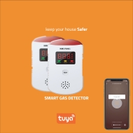 Smart Gas detector